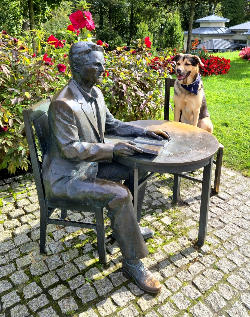 Koda in Międzyzdroje (Polen) Koda neben einer Statue in Międzyzdroje in Polen auf gepflastertem Platz